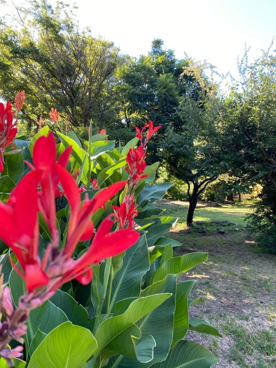 Holiday home En General Belgrano Villa General Belgrano